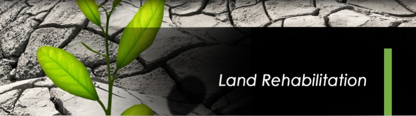 Land rehabilitation Overview: